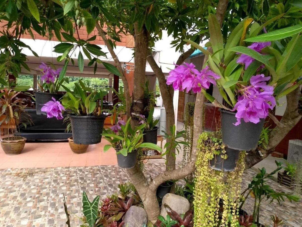 Pimpa House Hotel Ban Hua Nam Mae Sakut Luaran gambar